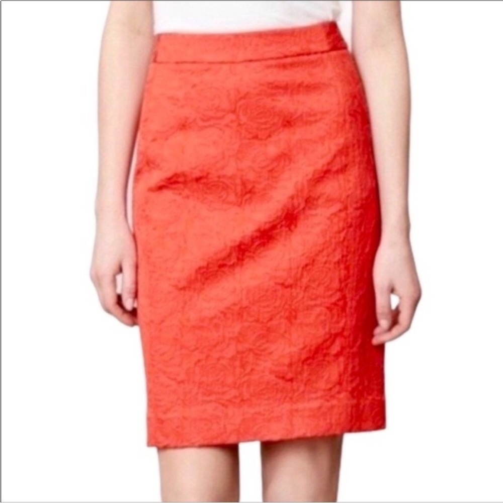 Anthro skirt - Vanessa Virginia